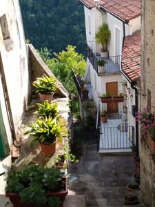 RivelloB&B Lo Straniero的建筑两侧有盆栽的小巷