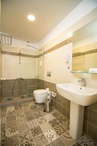 卡纳里奥Blue Sea Hotel的一间带水槽和卫生间的浴室
