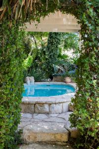 罗什平纳阿德瓦至高酒店的一个带拱门的花园内的游泳池