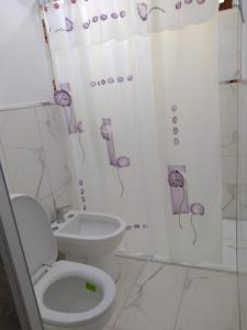 拉里奥哈HUELLAS LOFTER的一间带卫生间和淋浴帘的浴室
