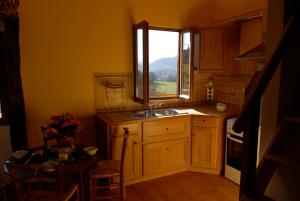 Saint-LizierGîte fermier de Saint-Lizier的厨房设有水槽、窗户和桌子