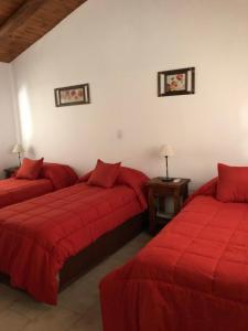 科洛尼亚卡洛斯佩莱格里尼Posada Che Teindy的红色床单的客房内的两张床