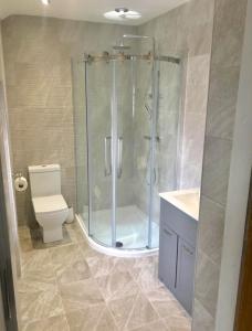 贝图瑟科伊德Cae Garw B&B的带淋浴和卫生间的浴室