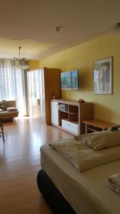 豪岑贝格浪漫疗养度假酒店的一间卧室设有一张床和一间客厅。