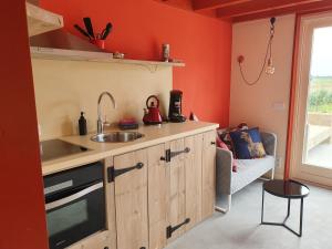 阿赫特克克Aan de Waterspiegel的厨房设有橙色墙壁和水槽