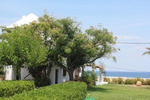 斯基罗斯岛Villa Mantalena的一座白色的房子,在海洋前方种有树木