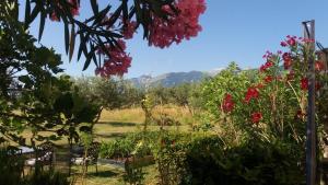 瓜尔迪亚格雷莱Casale Della Maiella的花园内种有红色的花卉和山脉
