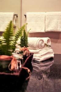 埃祖尔韦尼蒙特佳酒店的桌子上摆放着毛巾和植物