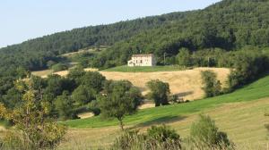 Monte Grimano TermeCasale Le Fontanelle的山丘上树木繁茂的房子
