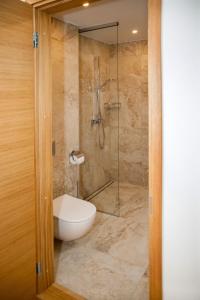 派尔努Riverside Apartment的带淋浴、卫生间和盥洗盆的浴室