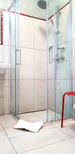阿尔巴尤利亚Pensiunea Margareta的浴室设有玻璃门淋浴