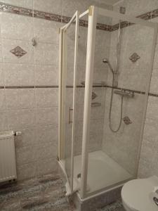 SohlandPrinz-Friedrich-August Baude的浴室里设有玻璃门淋浴