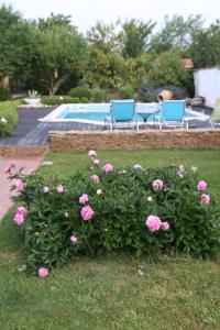 PusignanB&B Insolite entre Lyon et aéroport的一座带游泳池的院子中,一束粉红色的鲜花