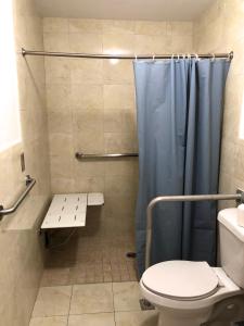迈阿密雷蒙娜汽车旅馆的浴室设有卫生间和带蓝色淋浴帘的淋浴。