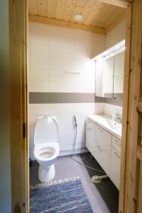 兰塔萨尔米Villa Vahtivuori的一间带卫生间和水槽的浴室