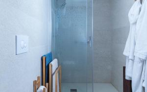 乌贝达Alojamiento San Nicolas的浴室里设有玻璃门淋浴