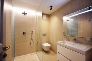 波雷奇Bed&Breakfast Monte Rosso的带淋浴、卫生间和盥洗盆的浴室