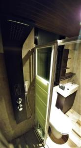 阿斯卡斯佩内亚旅馆的一间带卫生间和水槽的浴室