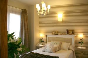 阿尔克萨尔Hotel Castillo的一间卧室配有一张床和一个吊灯