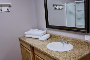 希利Arctic Dragonfly Inn的浴室配有盥洗盆、镜子和毛巾
