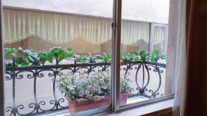 台北洛碁大饭店花华分馆的窗户上的阳台种植了盆栽植物