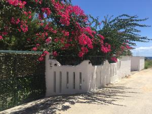 马鲁焦Casa Stella Marina的 ⁇ 上带粉红色花的白色门