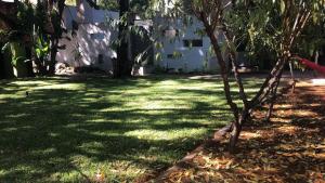 比勒陀利亚Guesthouse @ 31 Murray的一座有树和房子的院子