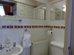 邓弗里斯邓弗里斯维拉旅馆的一间带水槽、卫生间和镜子的浴室