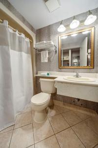 布兰普顿蒙地卡罗布兰普顿旅馆的一间带卫生间、水槽和镜子的浴室
