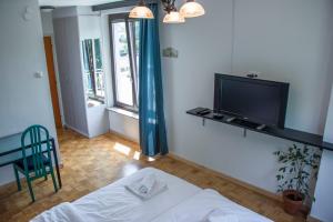 卢布尔雅那Guest House Park Žibert的一间卧室设有一张床、一台电视和一个窗口。