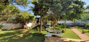巴西利亚Alt House Qi 02 Lago Norte的坐在树旁的草上长凳
