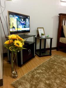 宿务BUDGET FRIENDLY CONDO-STUDIO UNIT的一间带电视和花瓶的客厅