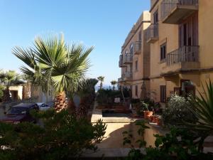 MġarrNo: 11A4S, Fort Chambray.的棕榈树庭院和建筑