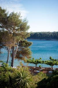 拉布Hotel Villa Barbat的享有树木和水体海滩的景色