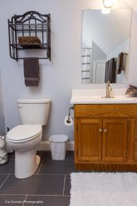 阿什维尔Mama Bears Blue Bungalow的一间带卫生间、水槽和镜子的浴室