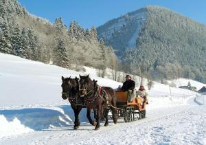 法伊施特瑙Am Ferienbauernhof Schmiedbauer com Salzkammergut的两个人乘着马车在雪地里骑着