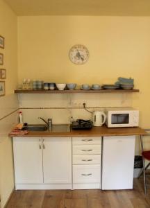 帕维西纳勒霍塔Apartmán Turista的厨房配有带微波炉的柜台和时钟