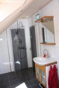 亨尼博斯特兰德Apartment in the countryside in Tossene Hunnebostrand的一间带水槽和淋浴的浴室