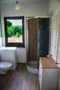 斯沃尔纳加西耶Siedlisko Owink的带淋浴、卫生间和盥洗盆的浴室