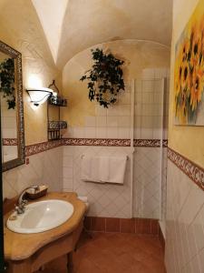 克洛斯特新堡斯科尼霍夫酒店的一间带水槽和淋浴的浴室