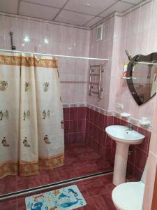 SvitlovodsʼkHotel Tropicana的带淋浴和盥洗盆的浴室