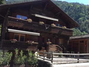 Versegeres The cosy Isba - Chambre d hôtes - Val de Bagnes - Verbier的山上的房屋,阳台上种着鲜花