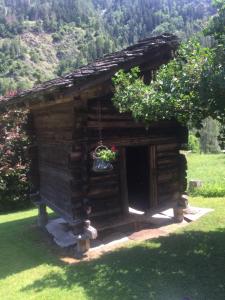 Versegeres The cosy Isba - Chambre d hôtes - Val de Bagnes - Verbier的门口种植植物的小小木屋