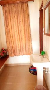 LiraKanberra Hotel的一间带水槽和淋浴帘的浴室