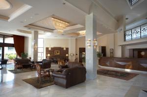 特里卡拉Aeton Melathron Hotel的大堂配有沙发和桌椅