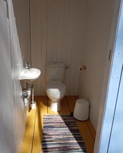 赞布热拉-杜马尔Quintal Alentejano的一间带卫生间和水槽的小浴室