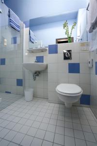 柏林梅拉罗斯·芬·舒酒店的一间带卫生间和水槽的浴室
