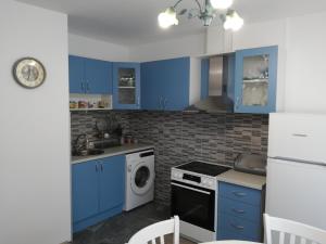 OvoshtnikGuest House Krasi的厨房配有蓝色橱柜和洗衣机。
