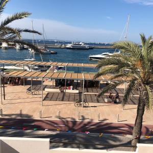 拉萨维纳Apartamentos Mar i Vent Puerto de La Savina Formentera的棕榈树和水中船只的码头
