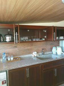An NakhlahKoura Nahla Apartment的厨房配有水槽和台面
